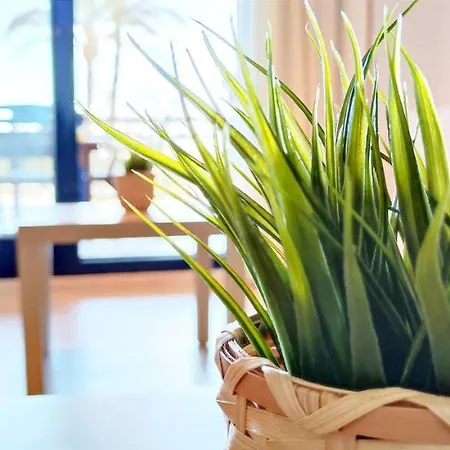 Apartamento Sueno De Denia By Denia Costa Buitenkant foto